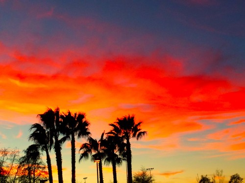 california sunset
