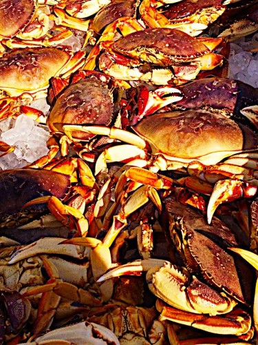 seafood boil live crabs