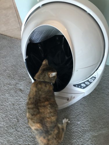 self-cleaning litter robot