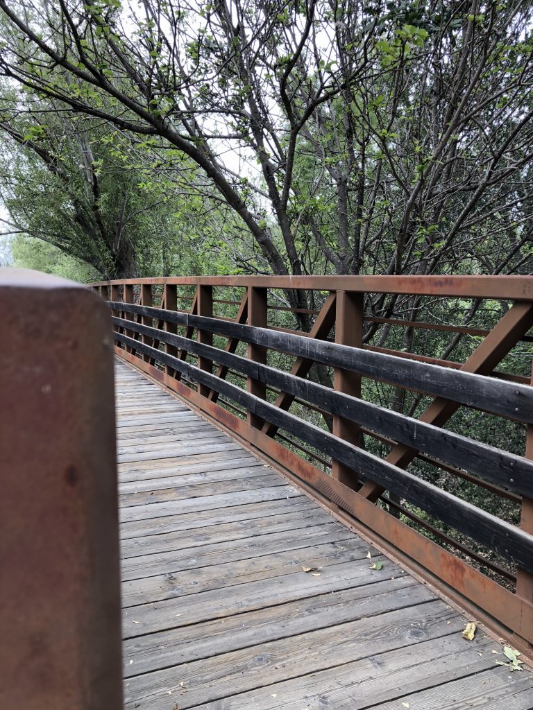 awesome bridge in woods