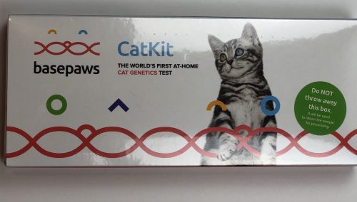 catkit basepaws DNA