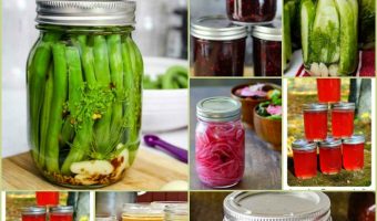canning and pickling recipes